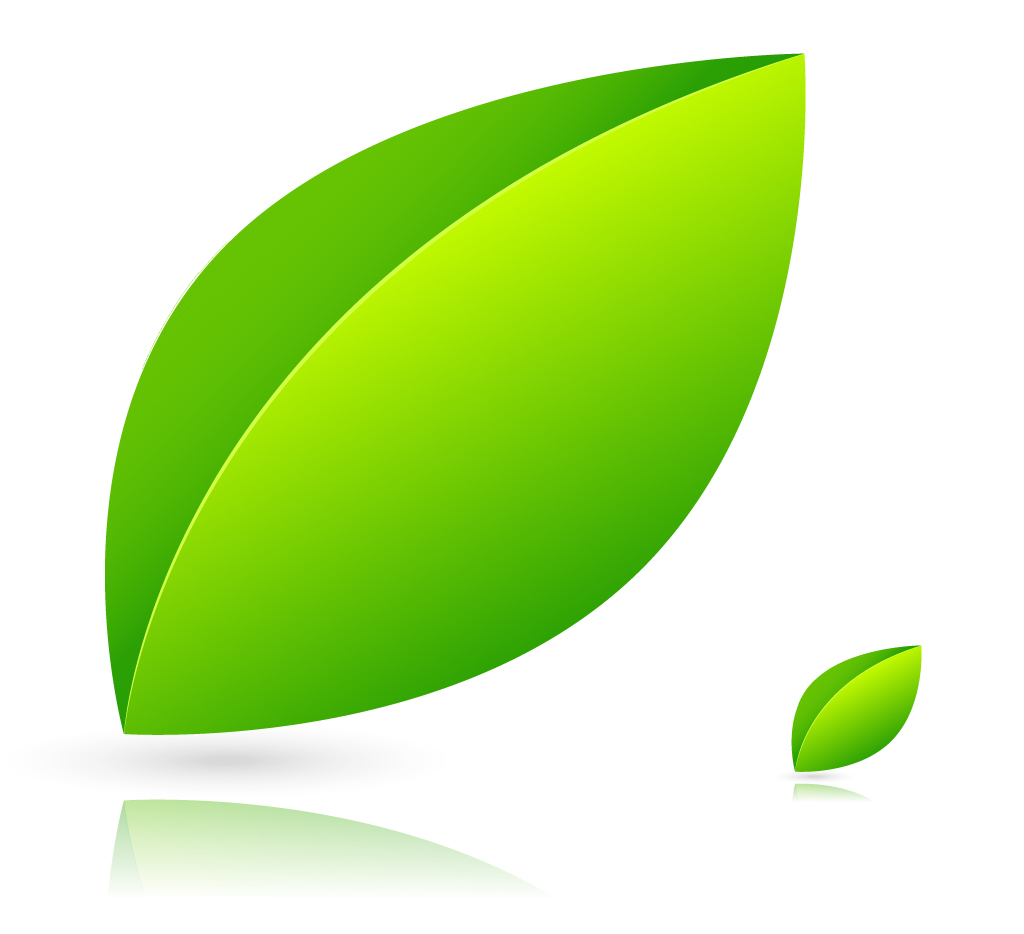 Green leaf free vector » Vectorgraphics123.