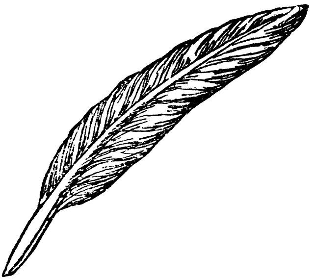 free clipart images quill pen - photo #13