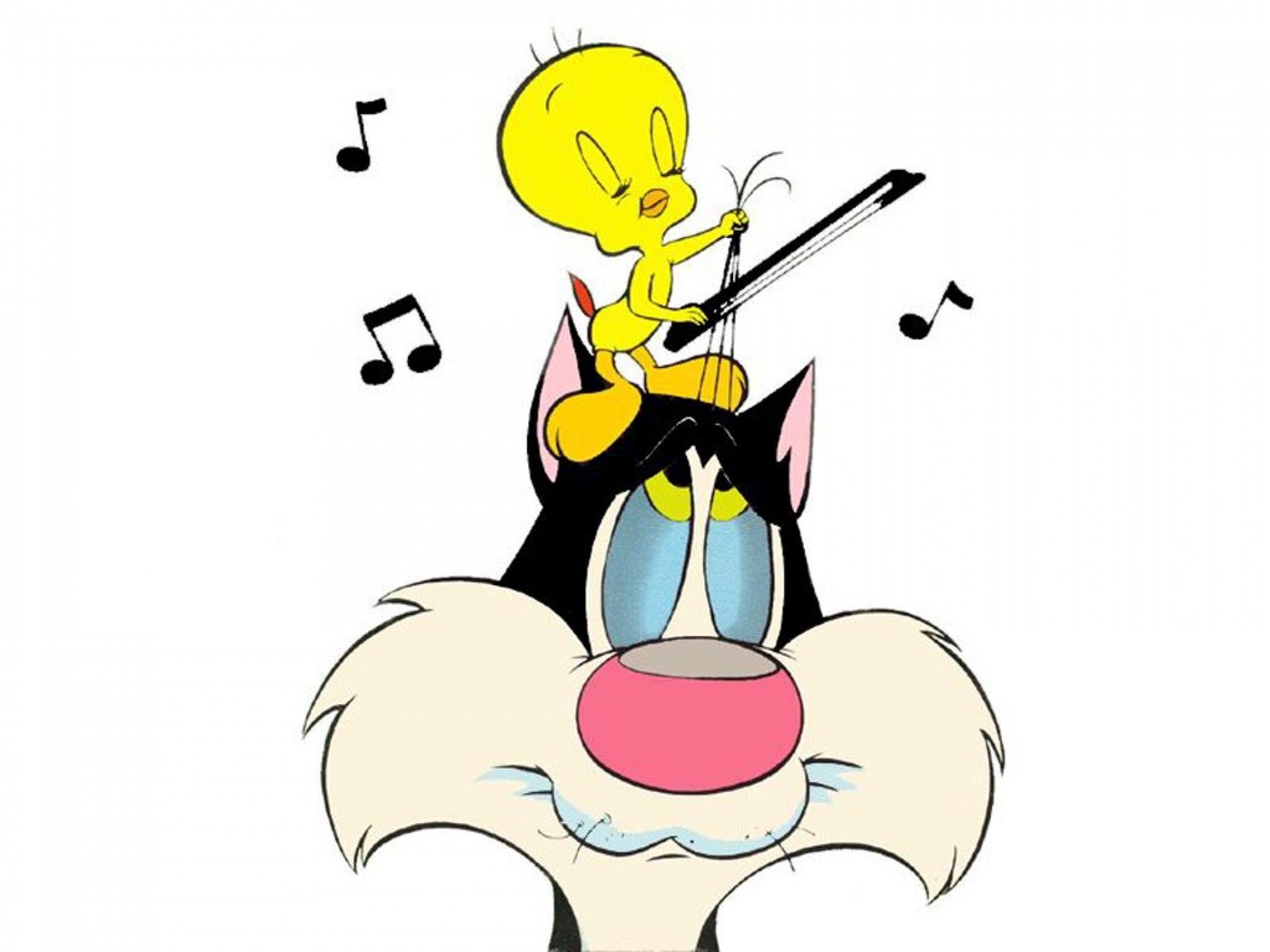 Beautiful music cartoon music bow musical notes sylvester tweety