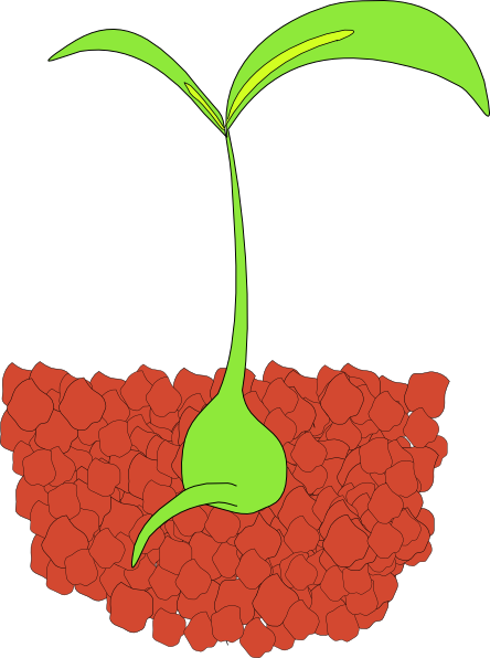 Plant clip art - vector clip art online, royalty free & public domain
