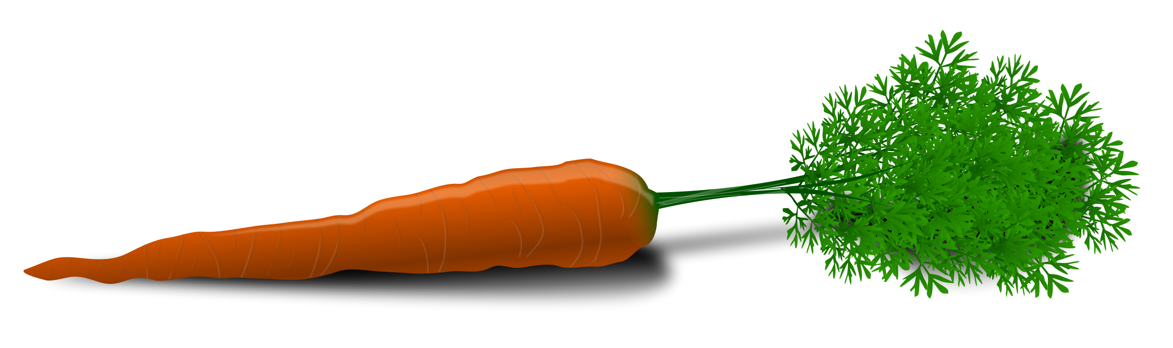 carrot_PNG4986.png