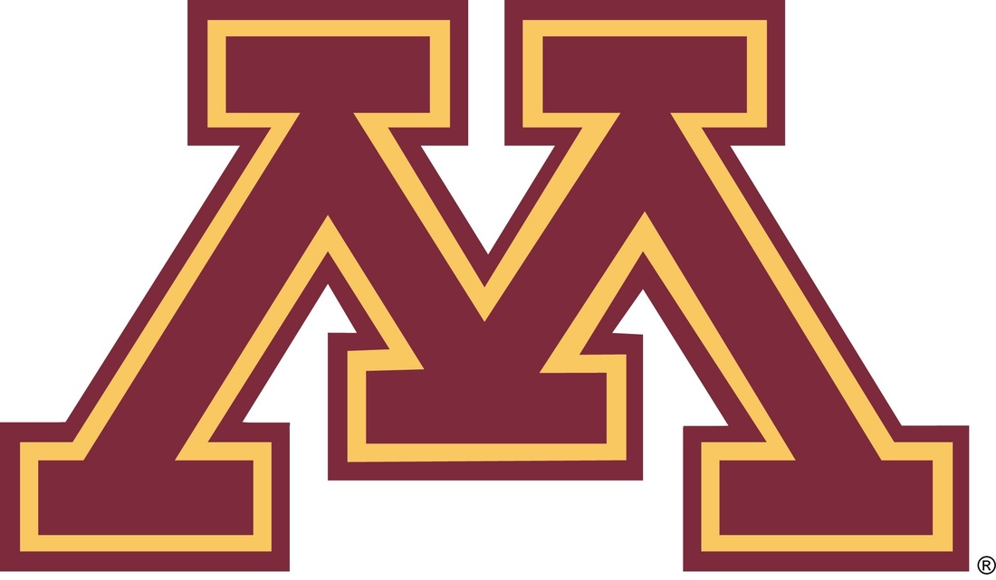Big Ten Hoops Preview and Where Does Minnesota Fit in The B1G ...