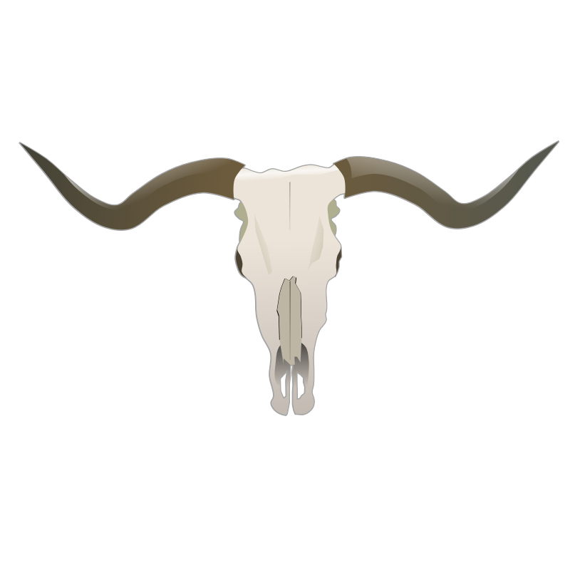 Clipart - Longhorn Skull