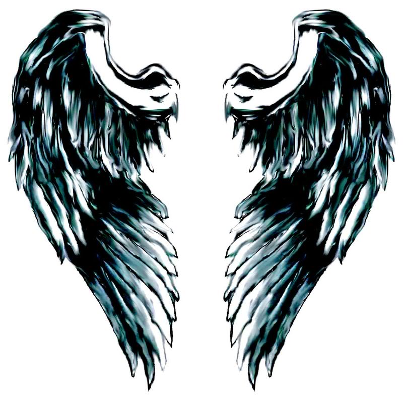 Sketches Of Angel Wings