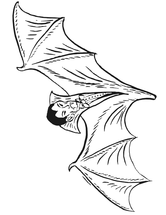 Bat Coloring Page – 660×854 Coloring picture animal and car also ...