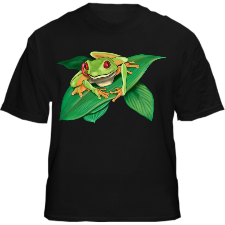 Red eye Frog - $20.00 : Quick Draw Graphics