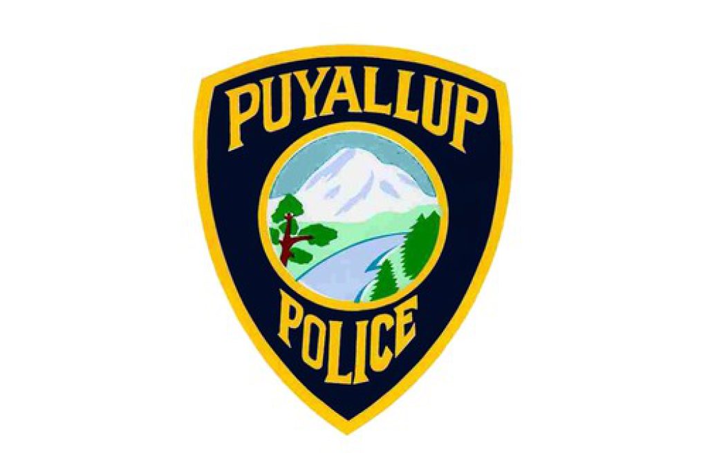 Puyallup Police Reports: Vandalized Nativity Scene, Drunk Driver ...