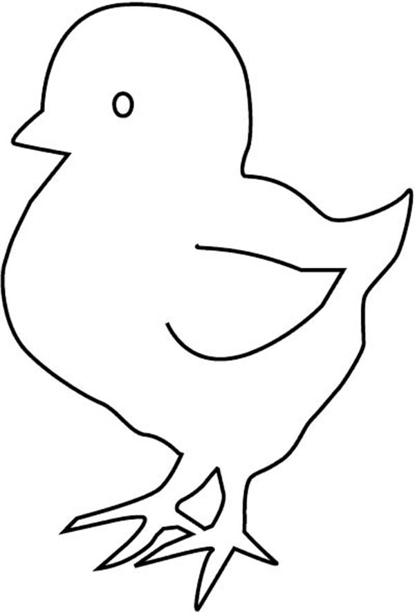 Baby Chick Outline Coloring Page | Kids Play Color