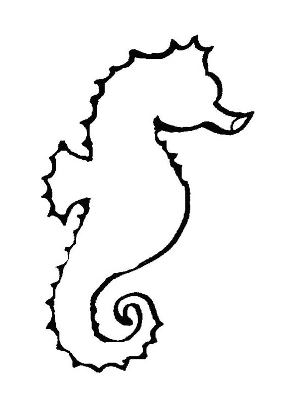 An Outline Drawing of Seahorse Coloring Page: An Outline Drawing ...