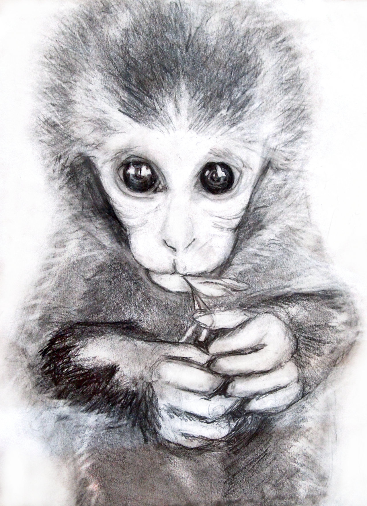 Cute Monkey Drawing - Cliparts.co