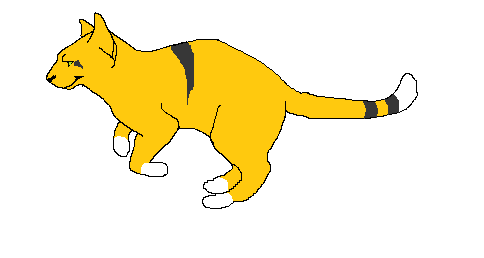 Animated Cat - Cliparts.co
