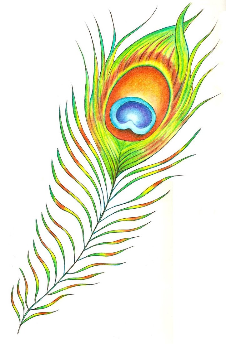 Peacock Feather Design Images & Pictures - Becuo