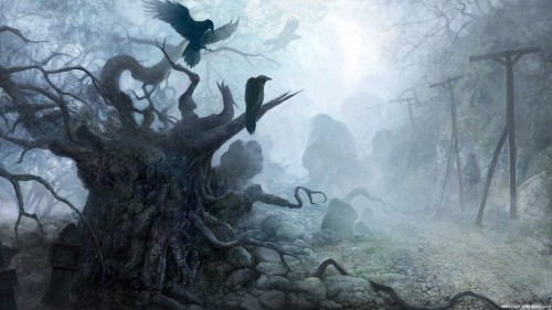 Scary Tree Wallpaper - HD Landscape Wallpaper