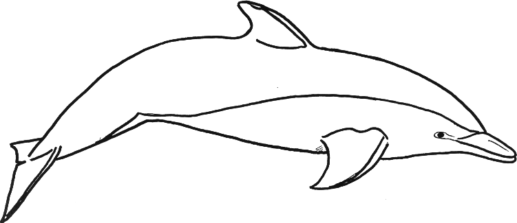 Dolphin Coloring Pages Printable | dolphin coloring pages cartoon ...