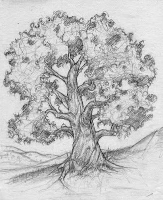 Tree Drawings on Pinterest | Drawings Of Trees, Oak Tree Drawings ...