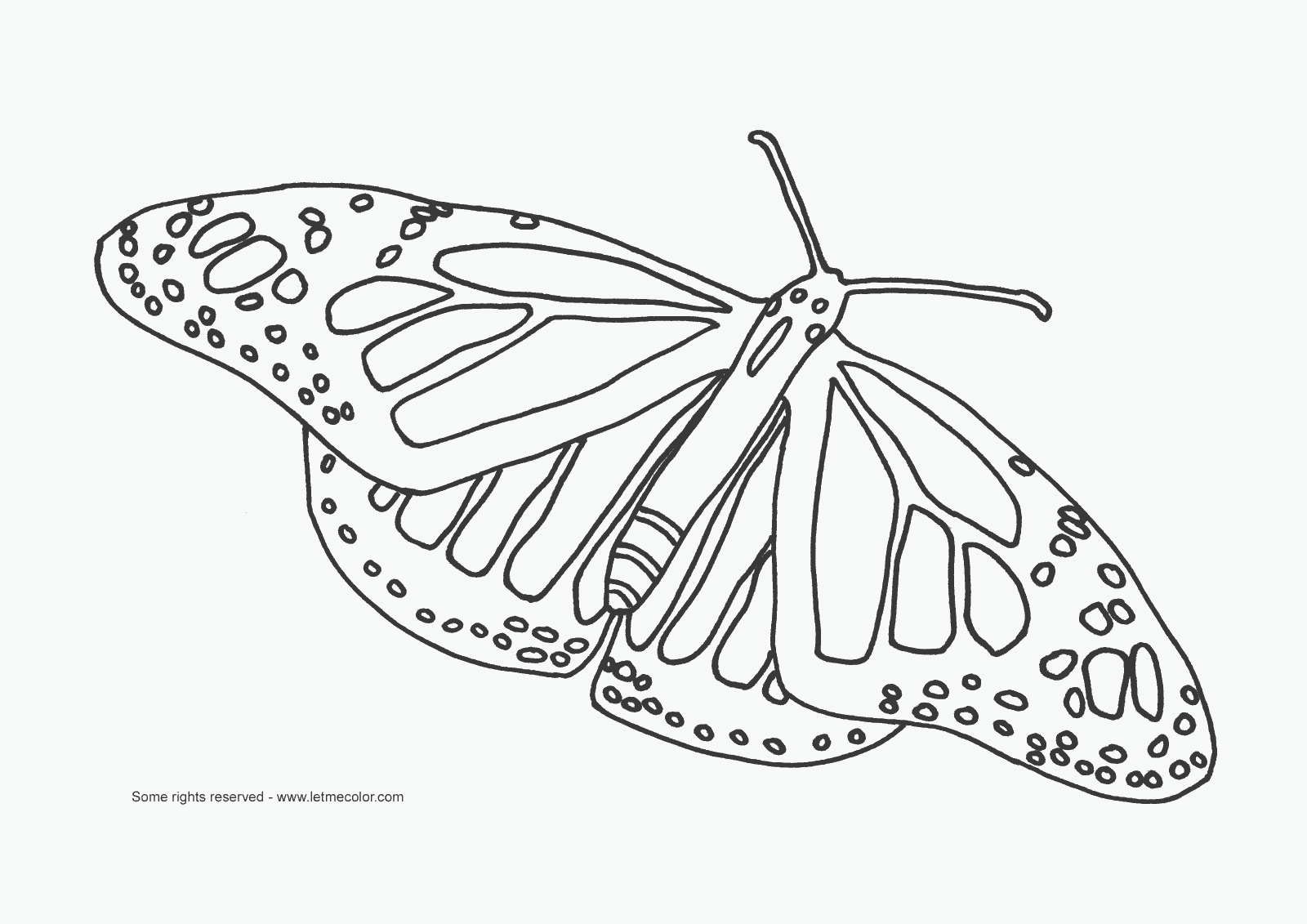 Free Printable Butterfly Coloring Pages | Best Coloring Pages