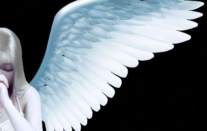 Beautiful angel wings vector material - Vector