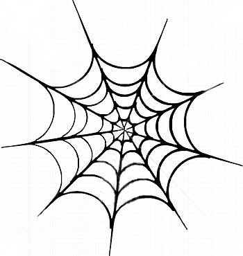 SPIDER WEB PICTURES, PICS, IMAGES AND PHOTOS FOR YOUR TATTOO ...
