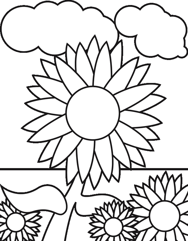 sunflower_coloring_sheet.gif