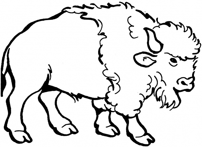 nice american bison coloring page for kids - Coloring Point