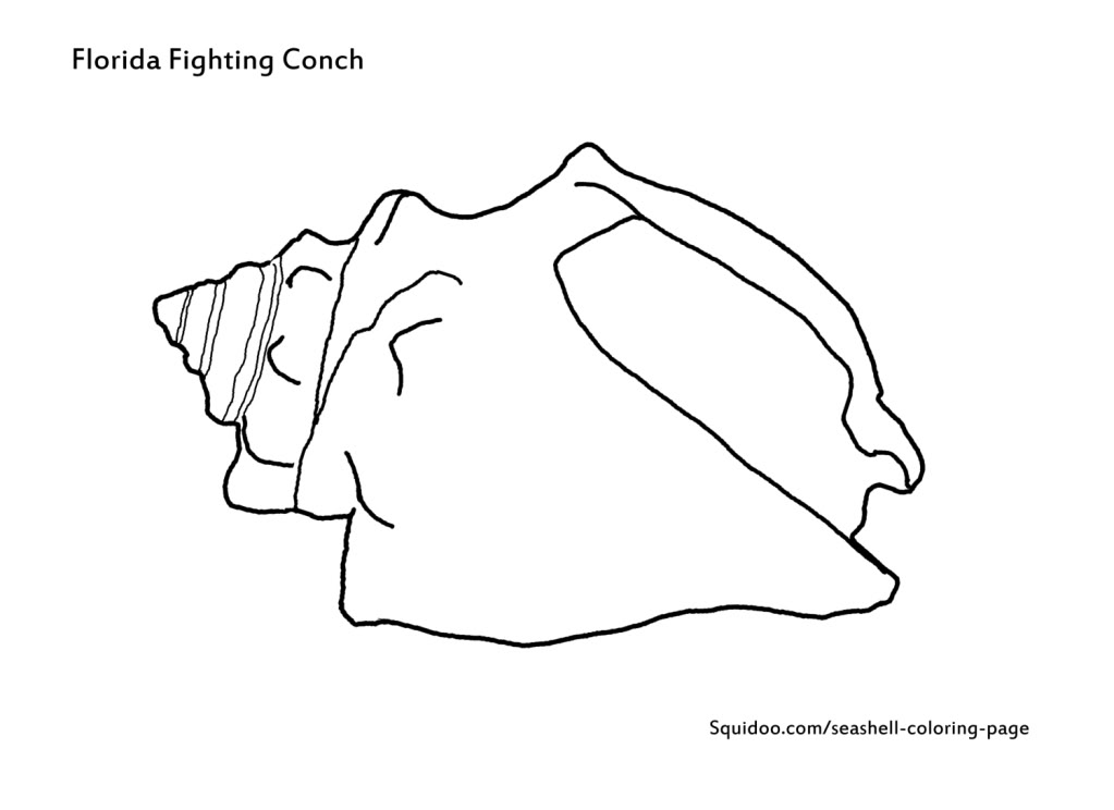 Conch Shell Outline - Cliparts.co