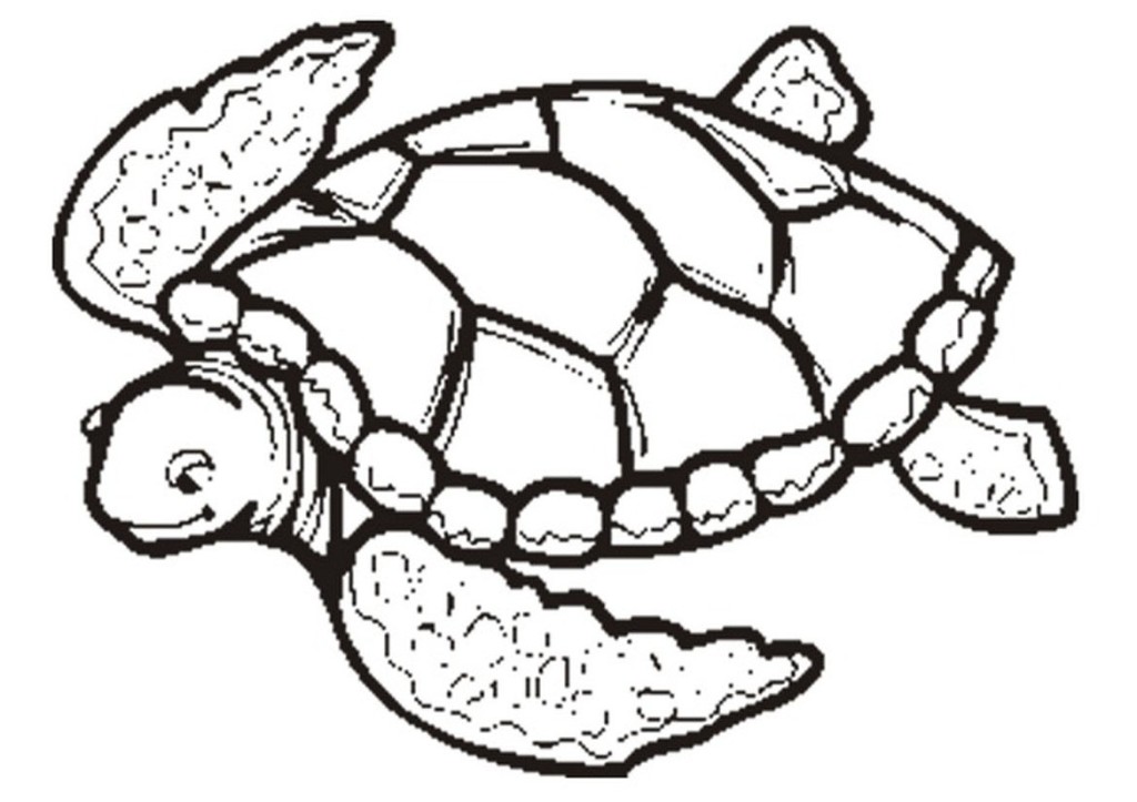 turtle clipart black and white - photo #33