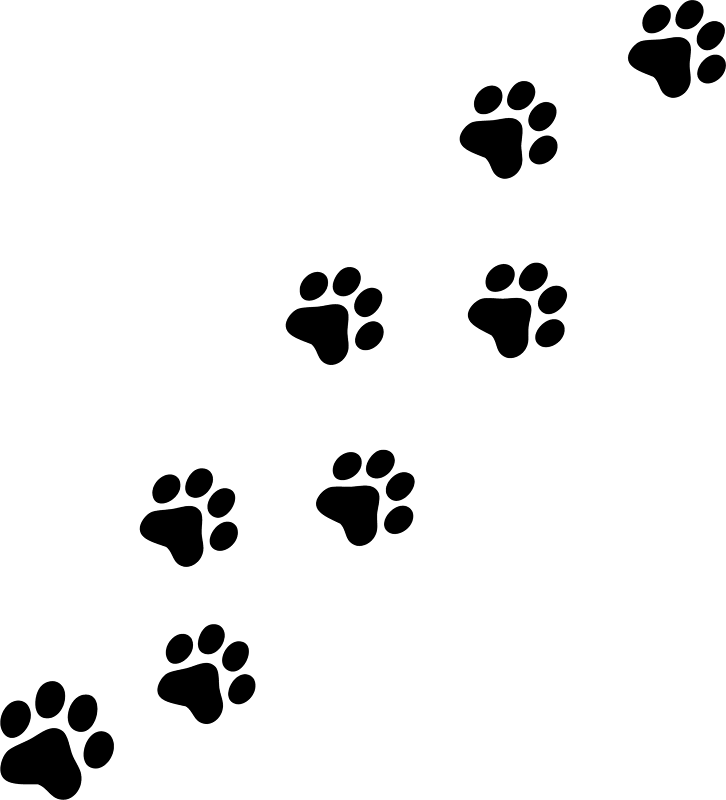 Paw Print Image - Cliparts.co