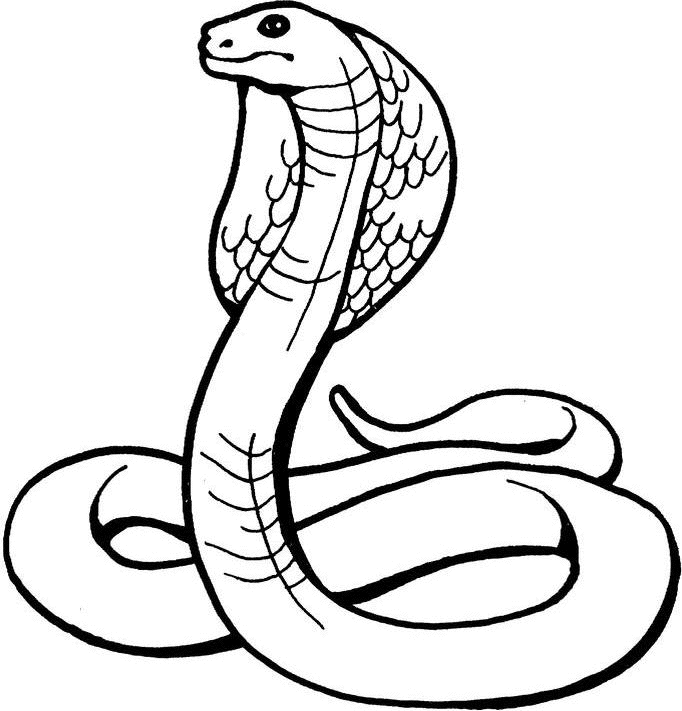 Snake Clip Art Black And White