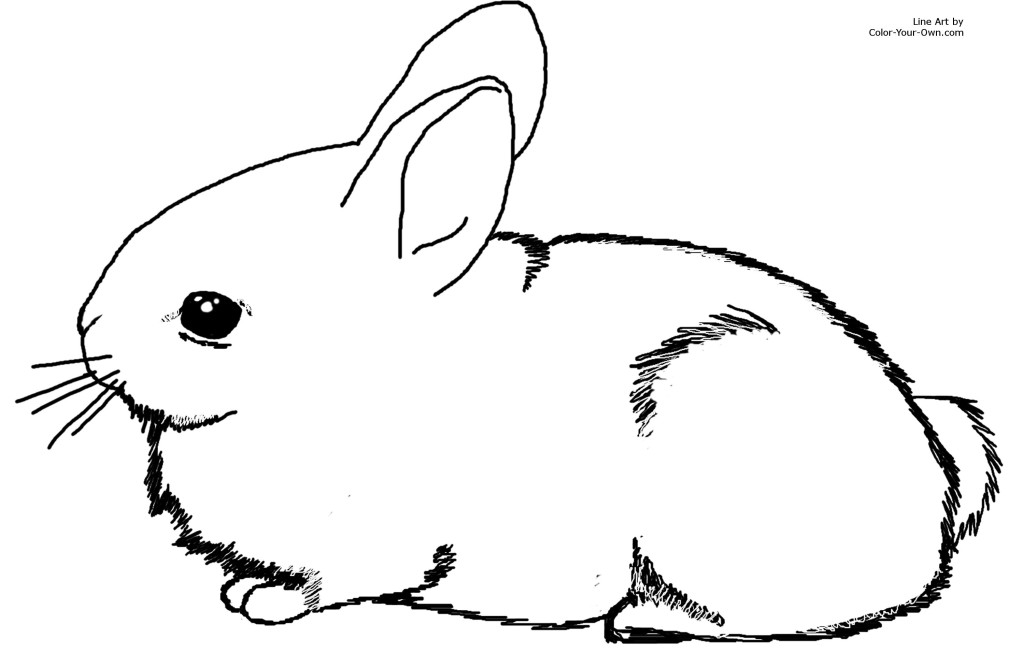 Rabbit Line Art - Cliparts.co