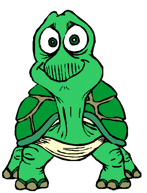 Cartoon Tortoise | lol-