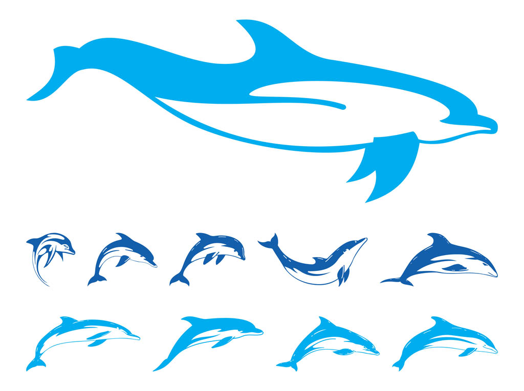 free animated dolphin clipart - photo #43