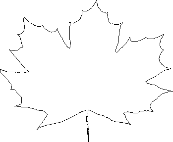 Fall Leaves Outline - ClipArt Best