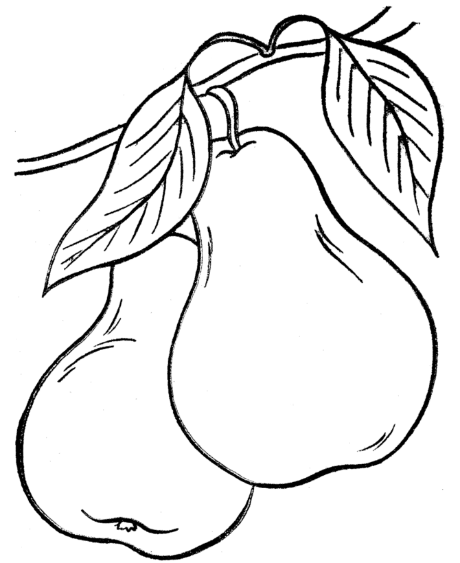 Thanksgiving Dinner Coloring Page Sheets - Pears in the tree ...
