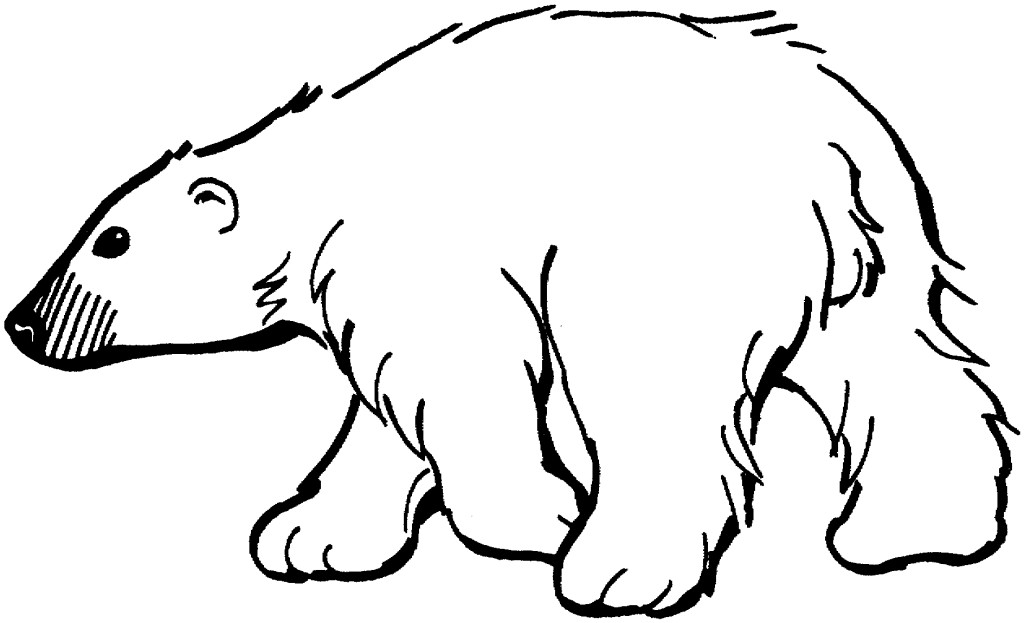 Polar Bear Coloring Page - Free Coloring Pages For KidsFree ...