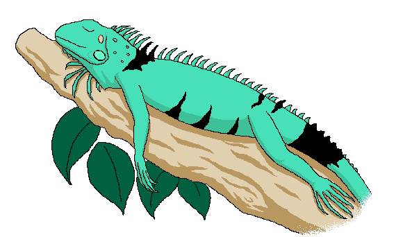 Emma's iguana clipart page | Clipart Panda - Free Clipart Images