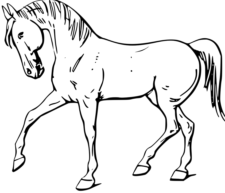 Free Stock Photos | Illustration of a walking horse in black and ...
