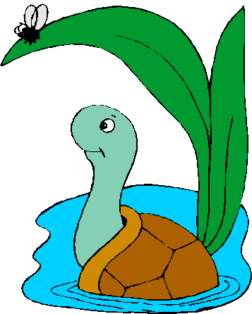 Clip Art Turtle Images & Pictures - Becuo