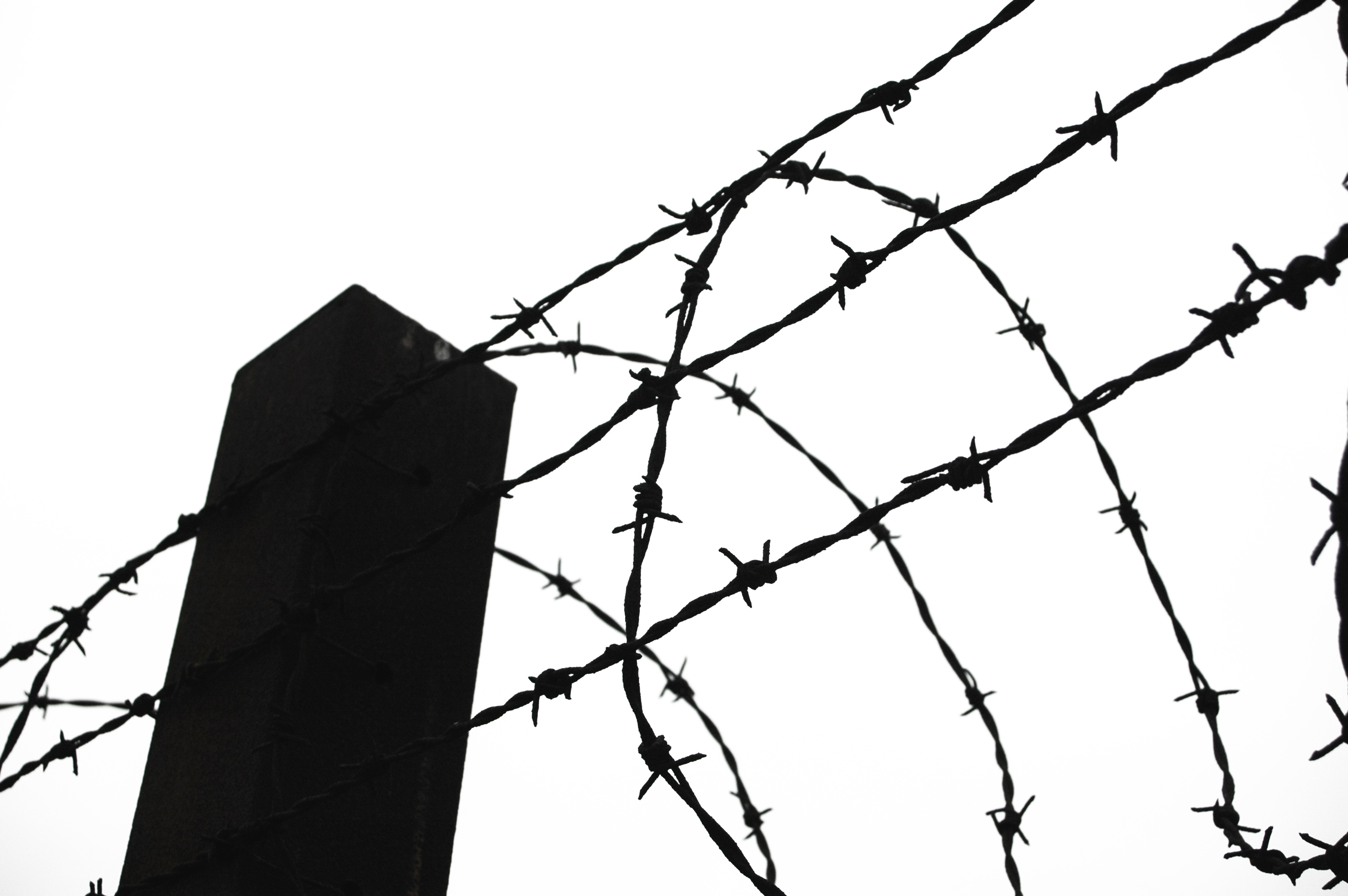Images Of Barbed Wire - ClipArt Best
