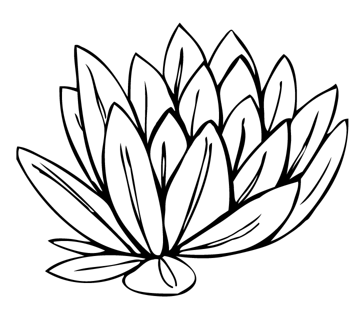 Water Lily Clipart - ClipArt Best