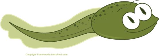 tadpole with legs clipart - photo #5