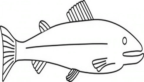 Fish Outline Clip Art | Free Vector Download - Graphics,Material ...