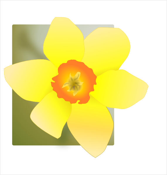 Daffodil clip art - vector clip art online, royalty free & public ...
