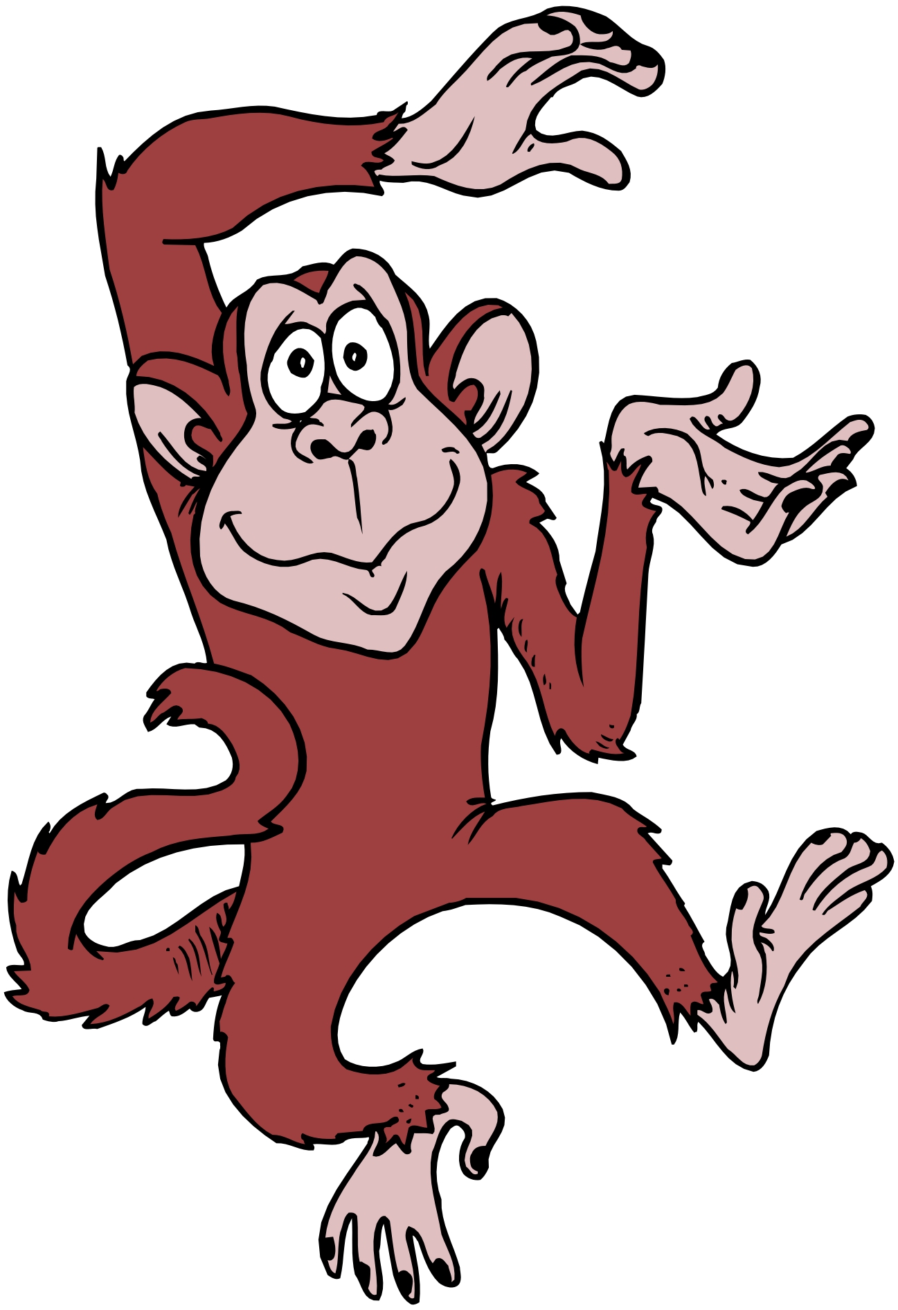 Images For > Funny Cartoon Monkeys