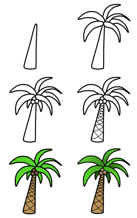 How to draw palm trees