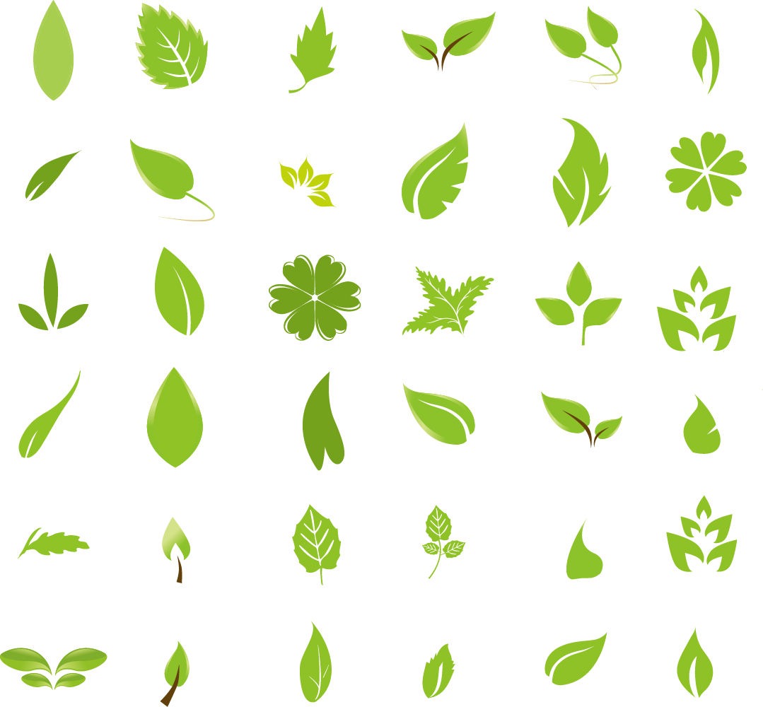 Green Leaf Design Elements | Free Vector Graphics | All Free Web ...