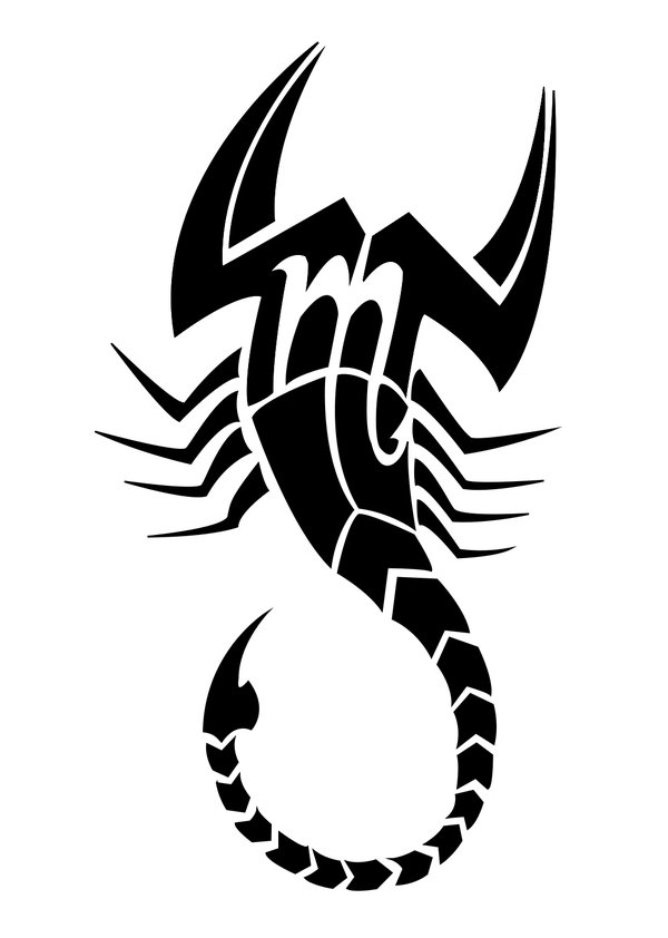 Scorpion Artwork