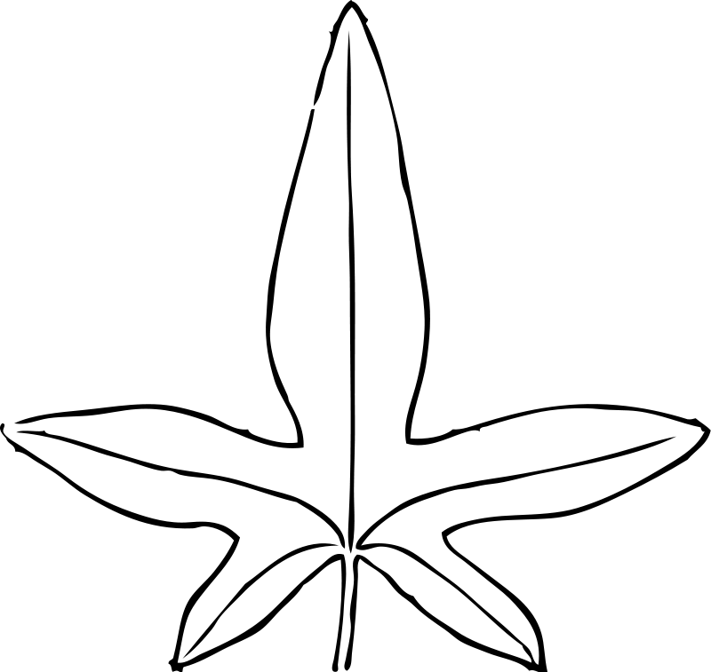 Free coloring pages of hojas de marihuana