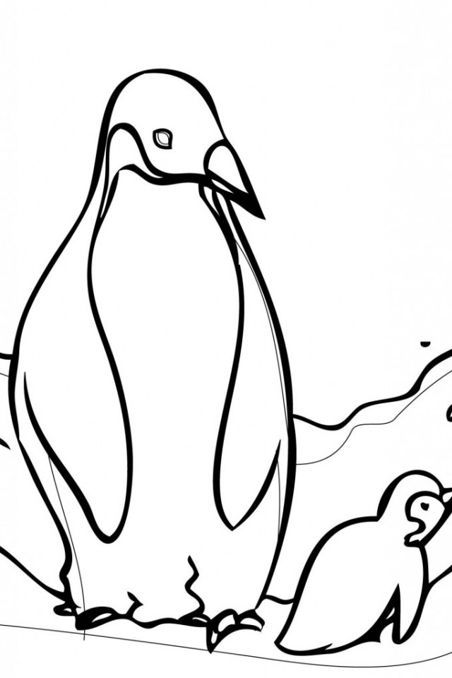 club penguin football Colouring Pages