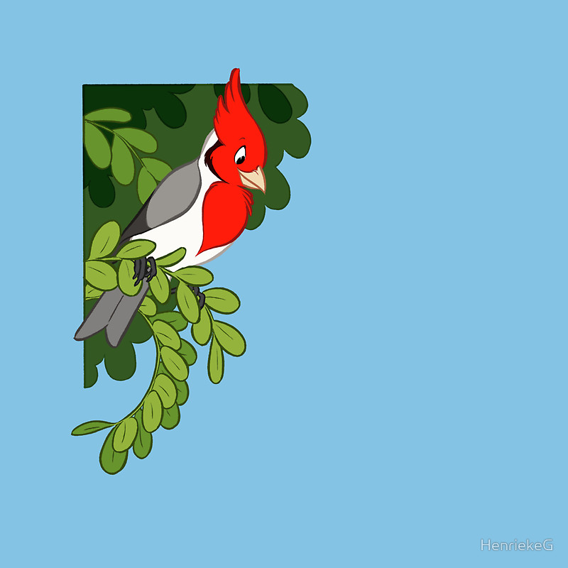 Hawaiian birds 3 - Red-crested cardinal" Throw Pillows by ...