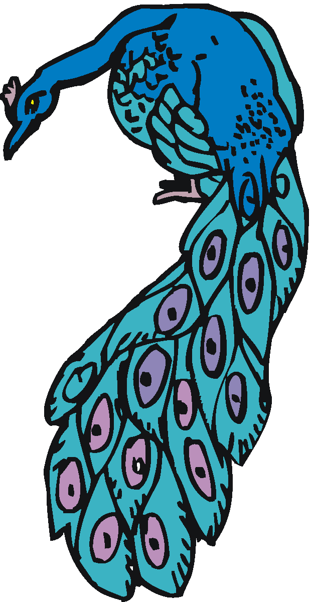 free black and white peacock clipart - photo #31